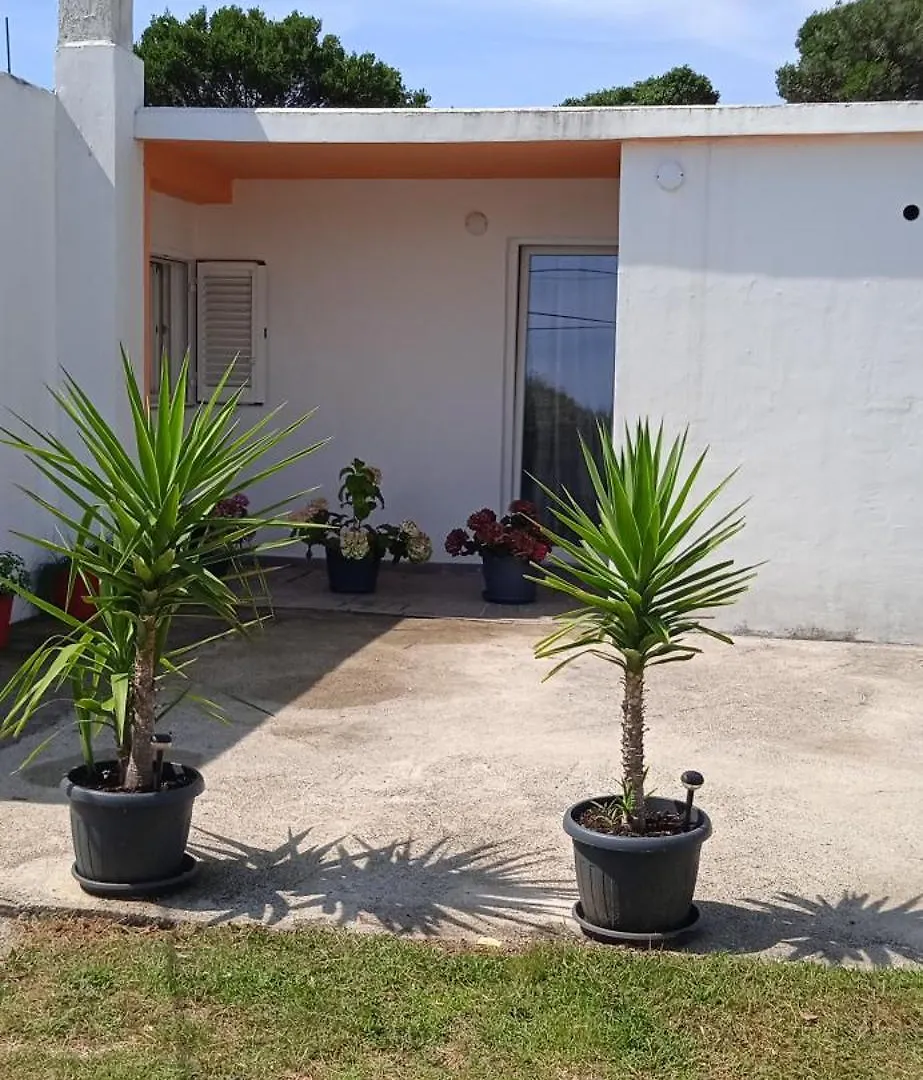 Apartment Kristofor Rab Kampor 0*,  Croatia